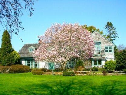 Water Mill South for Hampton Classic - Incredible Gardens!