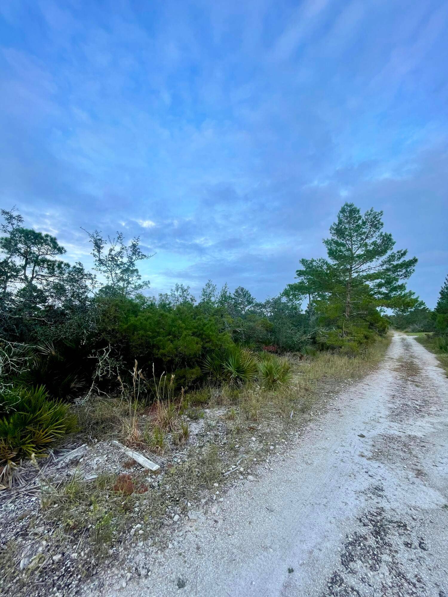 Discover the perfect spot for your dream home or investment venture on this.