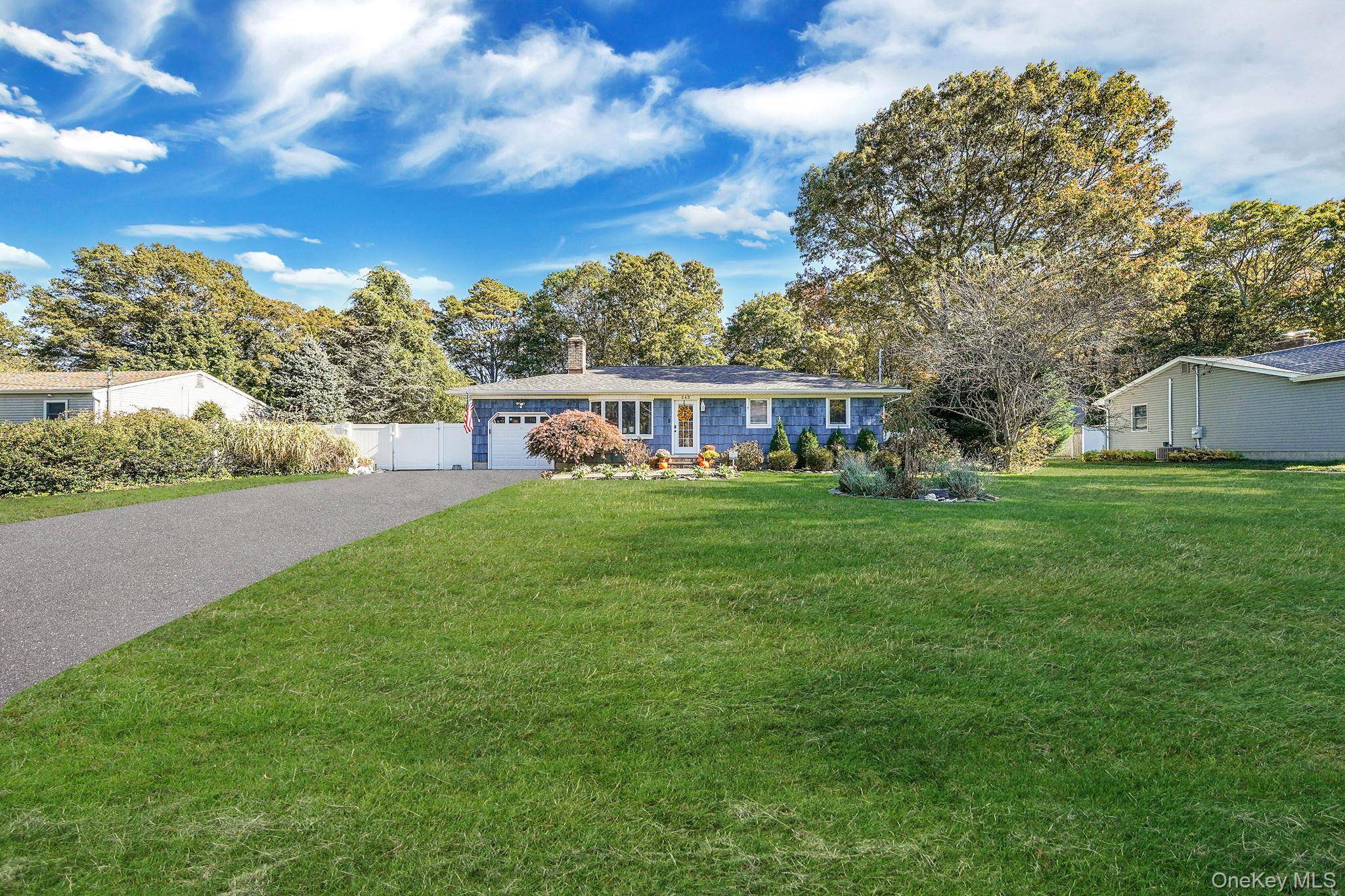 Welcome To 243 Robinson !