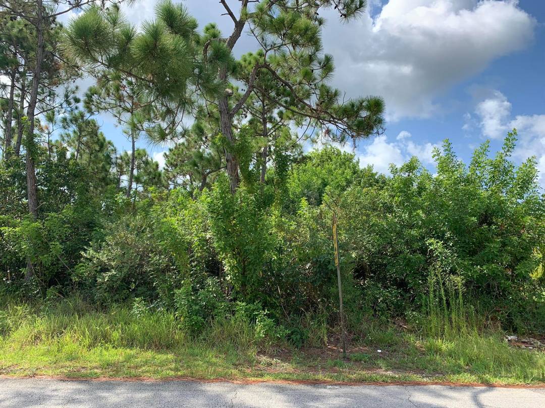 SANDCOMBE DRIVE Land Grand-Bahama-Freeport