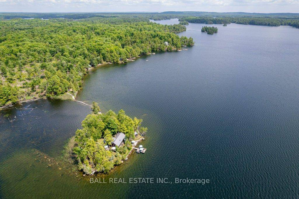 Private island paradise with owned mainland on Jack Lake !