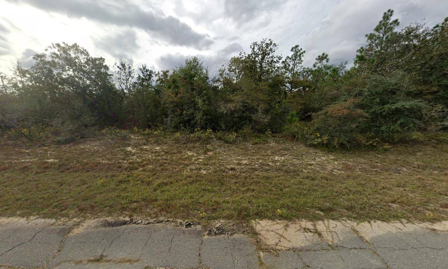 Nice, wooded 0. 23 acre lot in the beautiful growing Sunny Hills community.