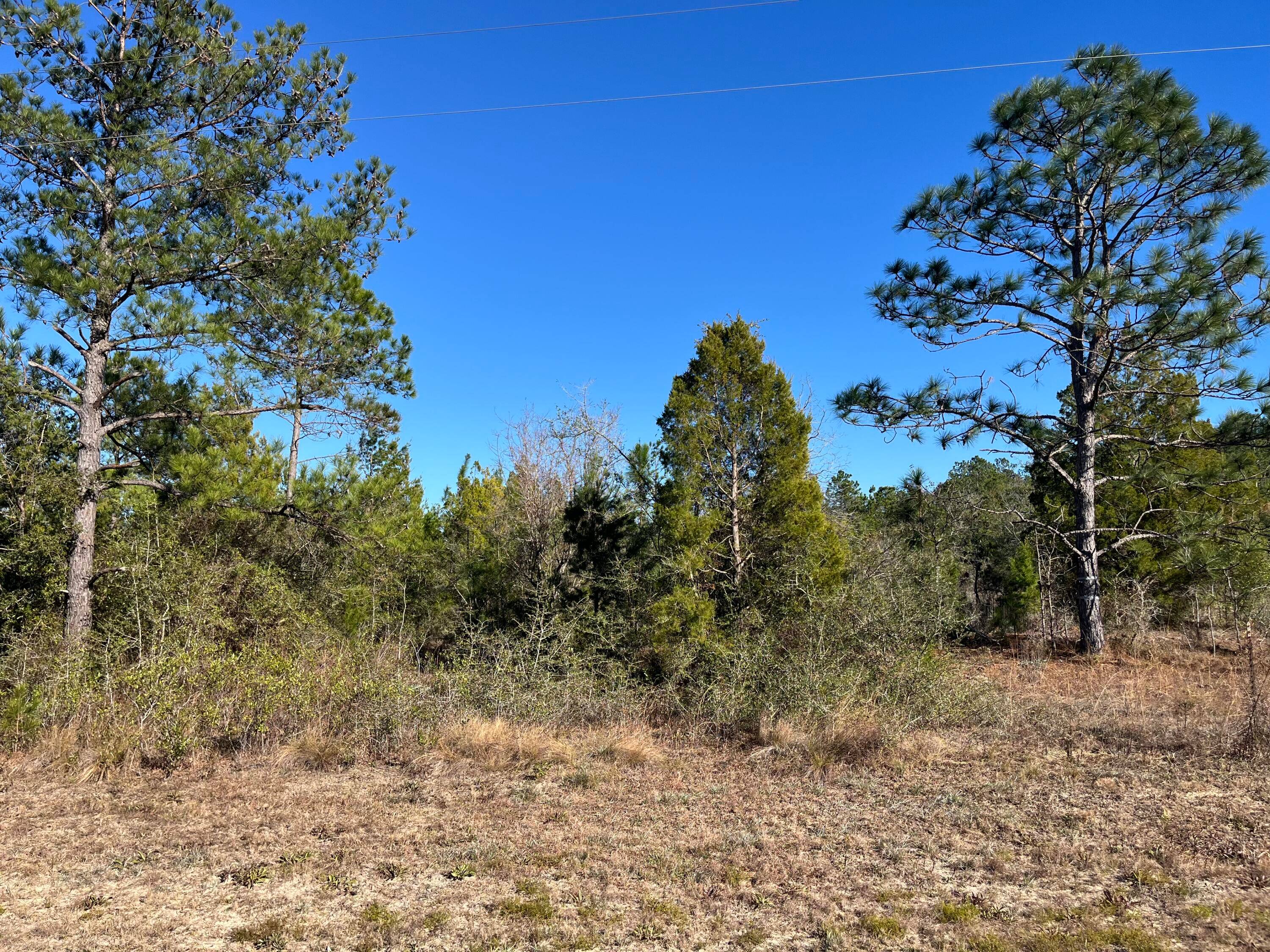Don't miss out on this wooded 1.