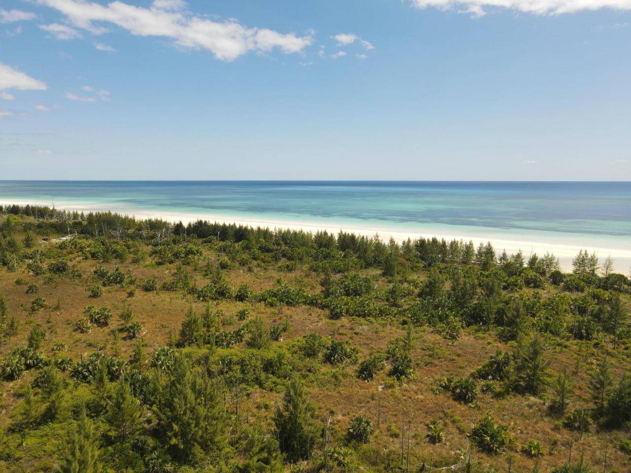 10 ACRES BEACHFRONT Land Grand-Bahama-Freeport