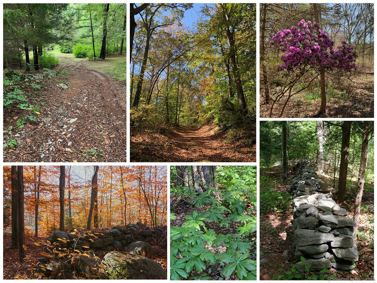 20 acres in rural Killingworth, offering privacy, natural beauty, and boundless potential.
