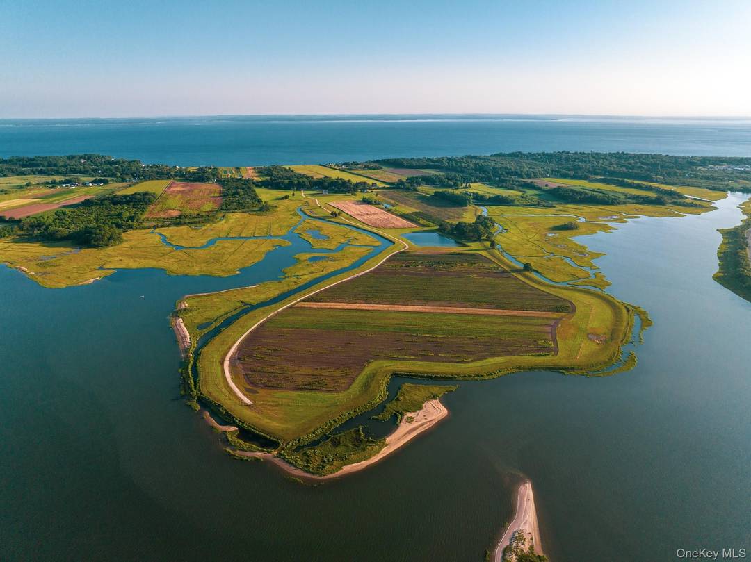 Behind a lush privet hedge, this expansive 102 acre waterside property offers idyllic privacy, boundless potential, and exceptional versatility across three separate parcels.