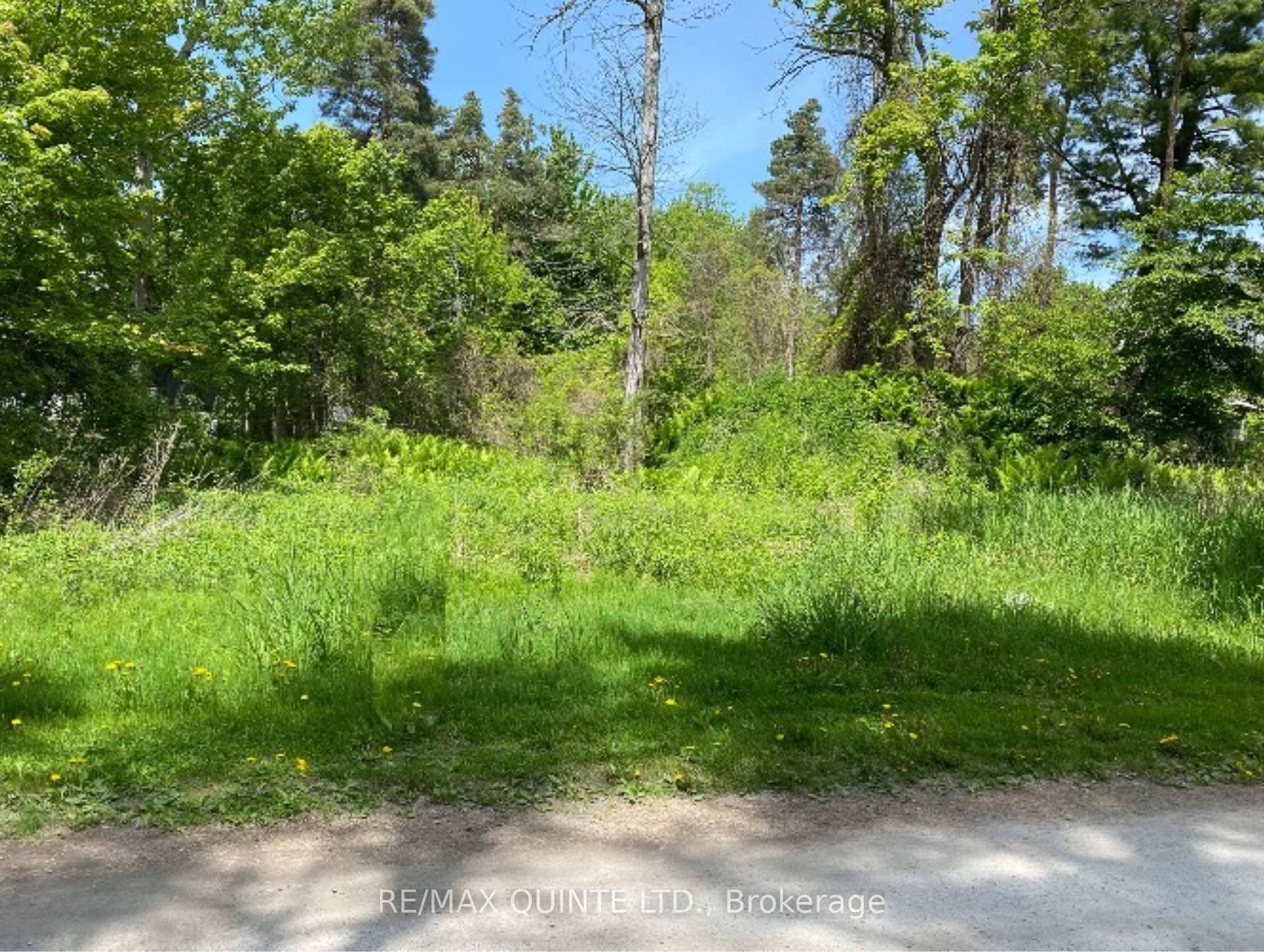 Ready to build your dream home ?