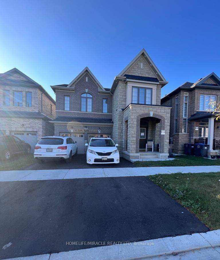 Spacious basement in precious northwest Brampton community.