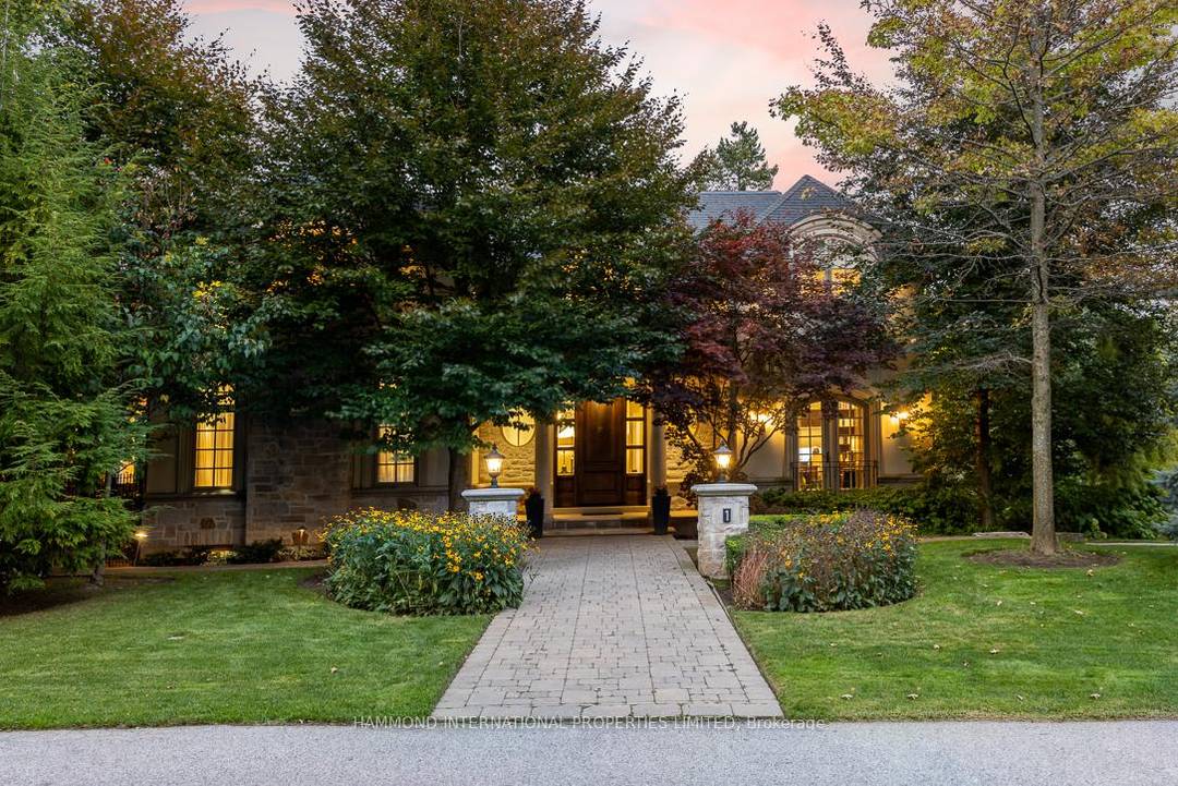 Allow your dreams to come true.