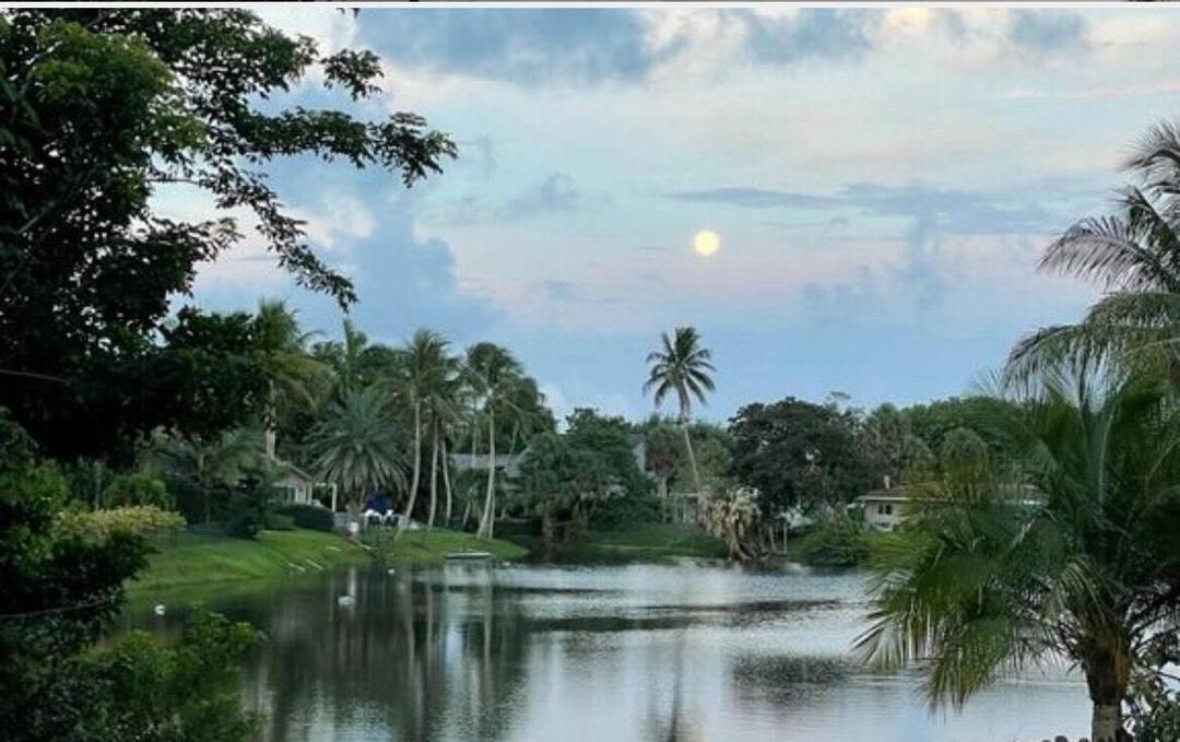 Location, Location, Location !