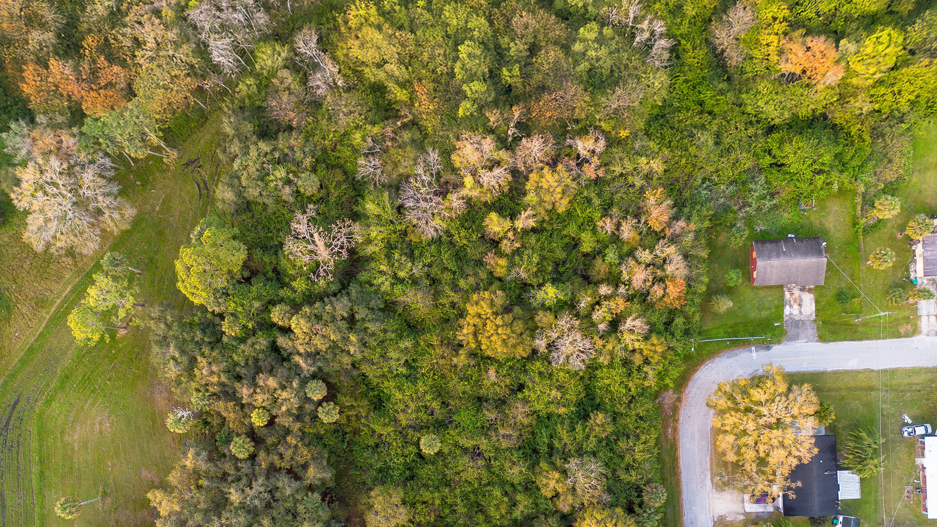 Spacious vacant land located in Carey's Subdivision.