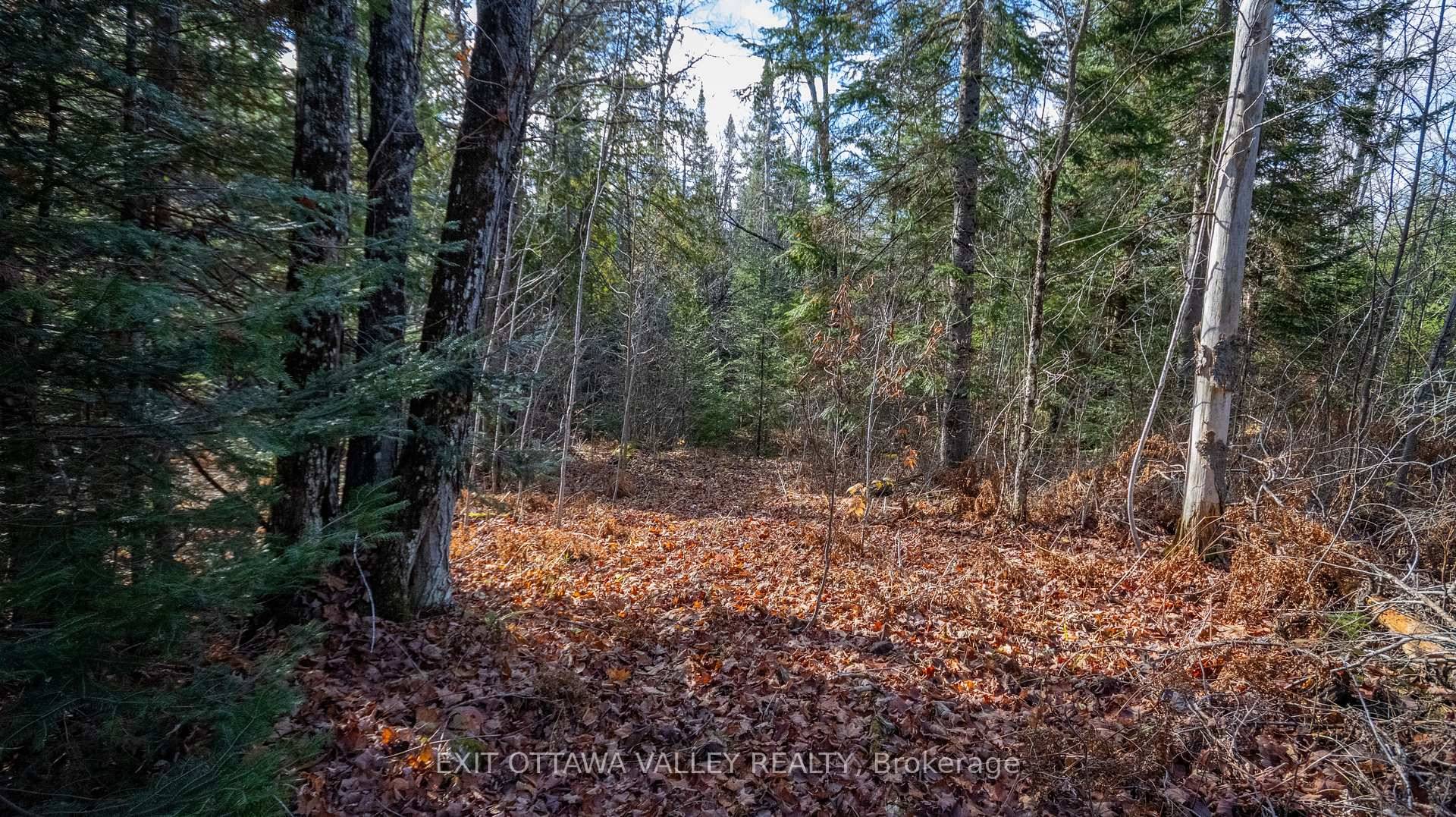 51 Acres of Natural Beauty Just Minutes from Barry's Bay.