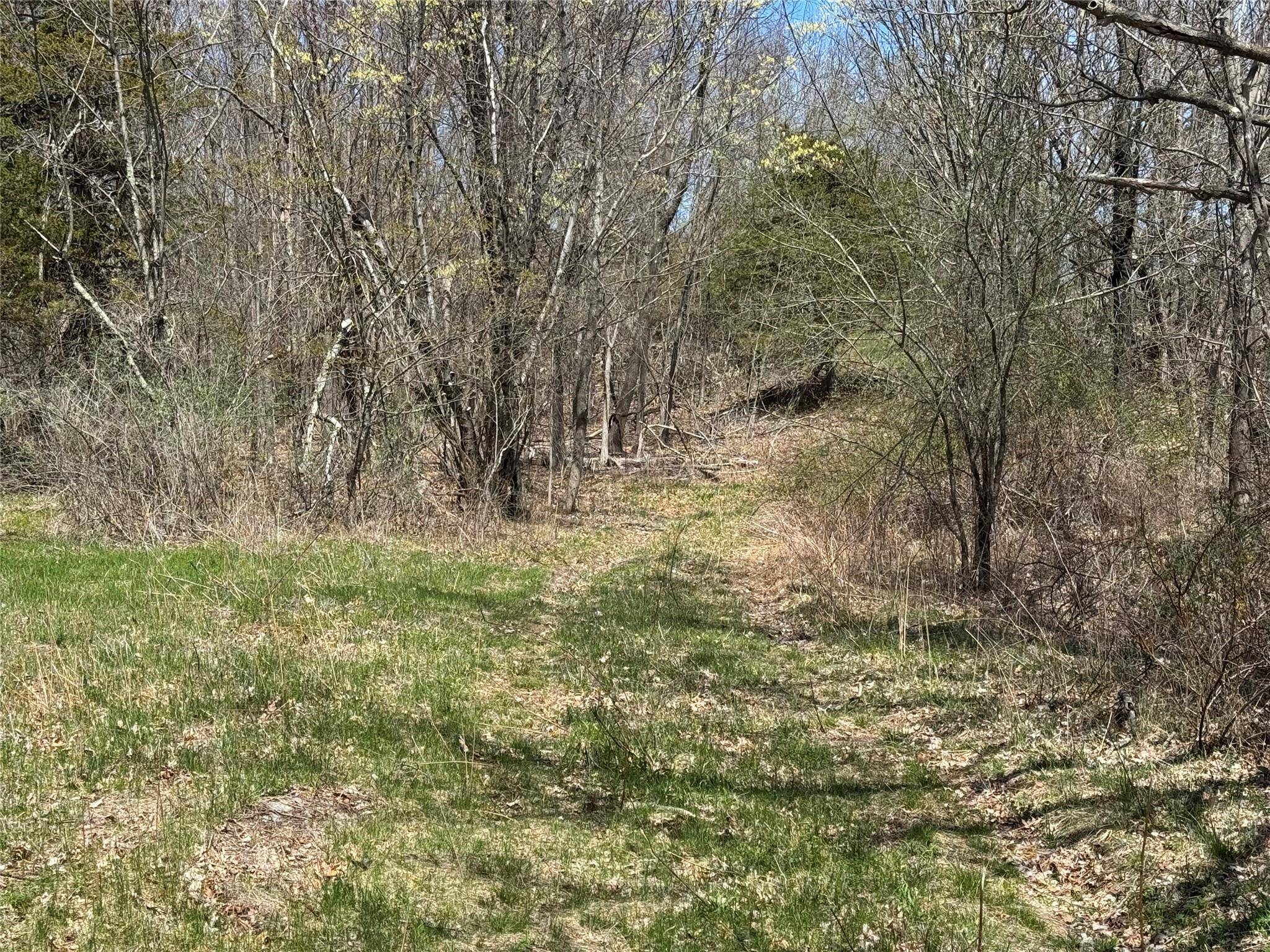 Welcome to your 54. 19 acre parcel, situated less than one mile from the Taconic State Parkway.