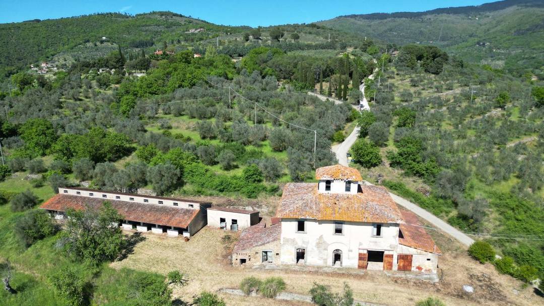 A Leopoldina-style house with outbuildings and 4 hectares of olive groves in Val di Chiana.