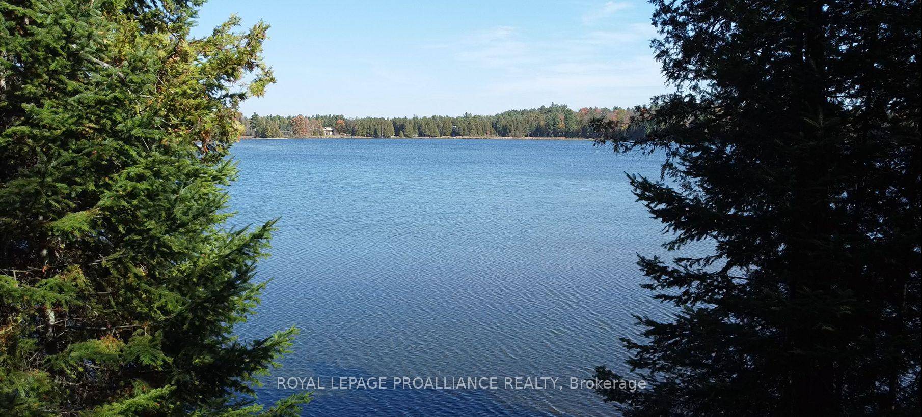 For those seeking a blank canvas with waterfront and acreage these combined parcels present multiple opportunities.