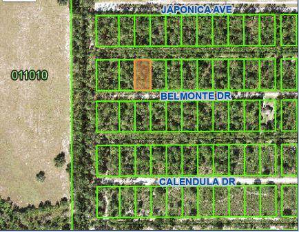 This half acre, beautiful, treed lot has just recently been cleared.