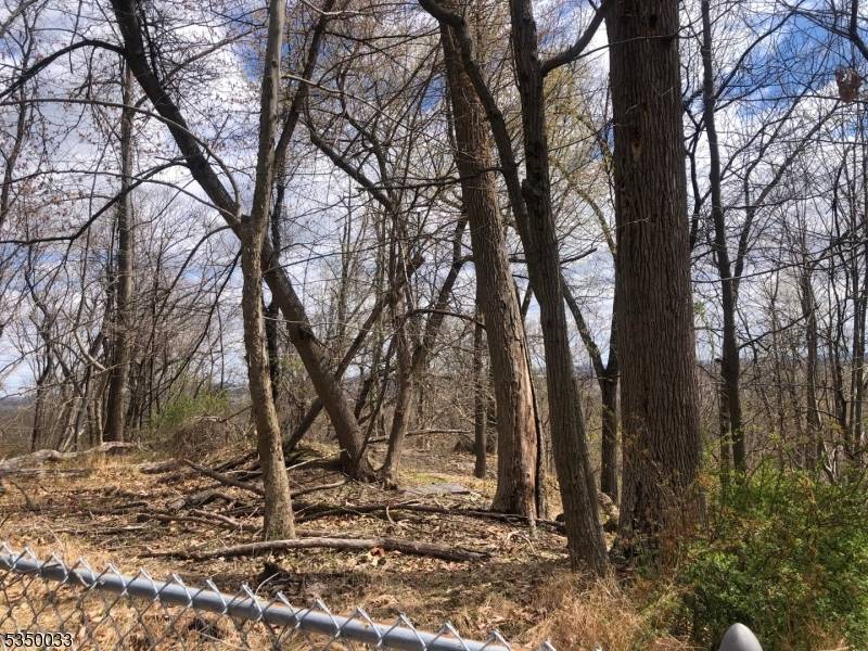 This 4. 35 acres are ready to be developed in the sought after Green Brook Township Location !