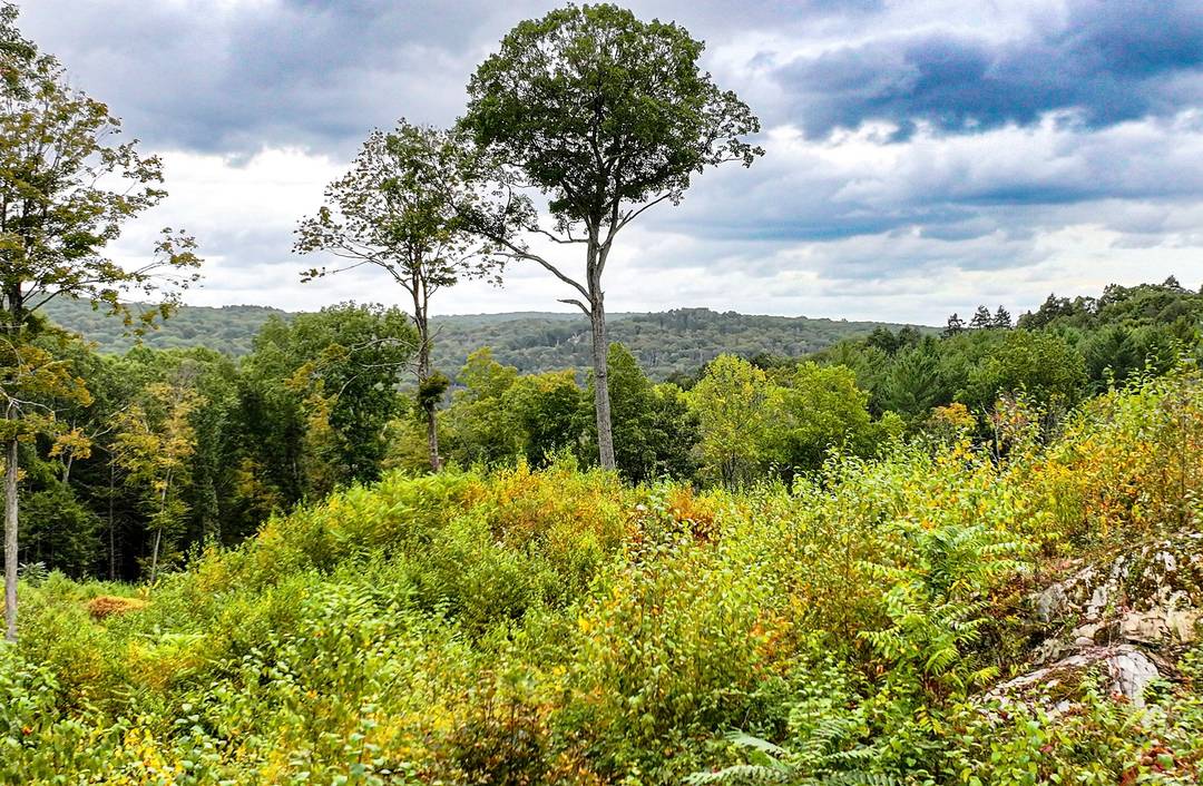 Magnificent 15 Acre Parcel in Top Washington Location.