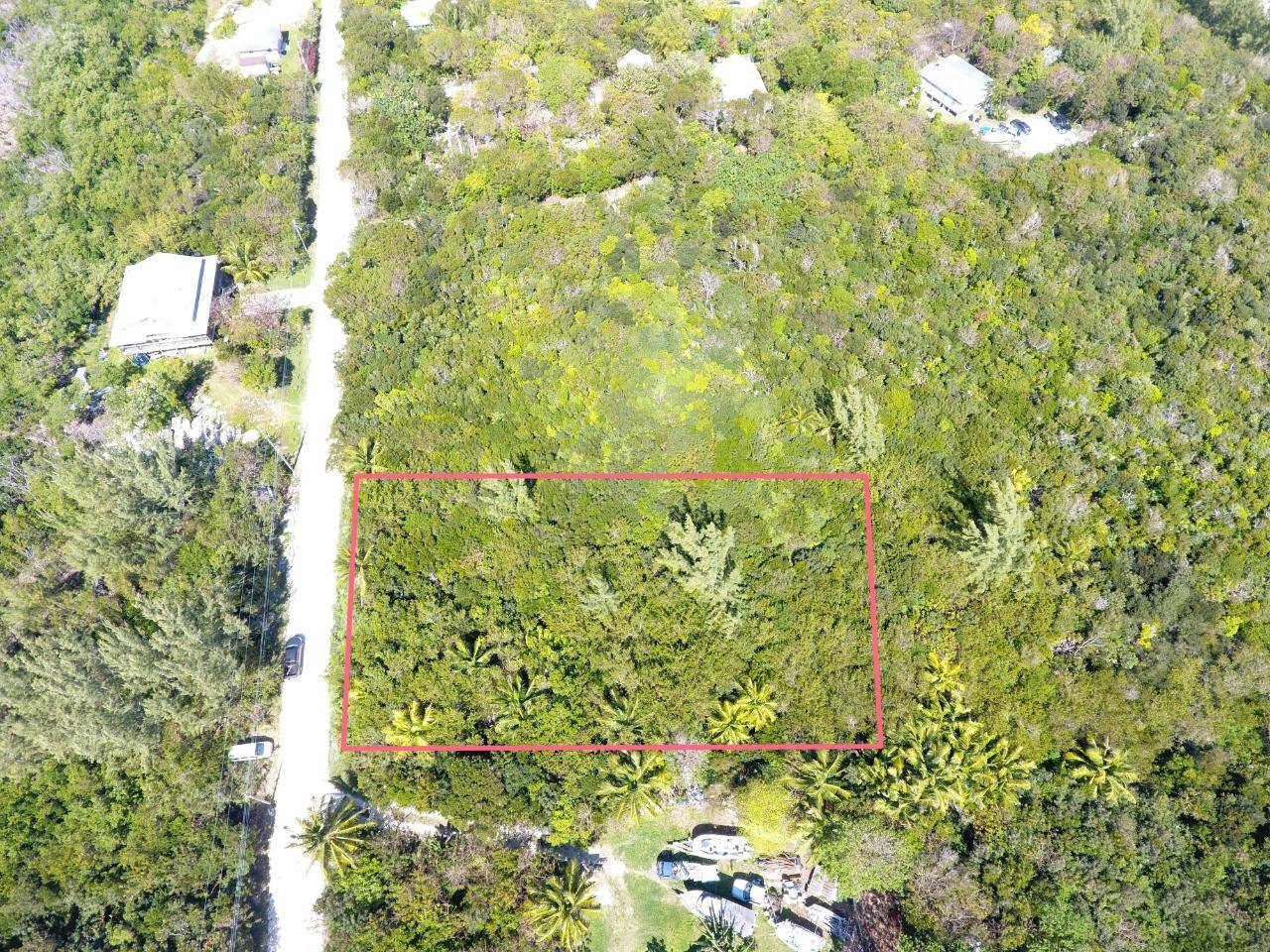 YELLOW WOOD, CHEROKEE Land Abaco