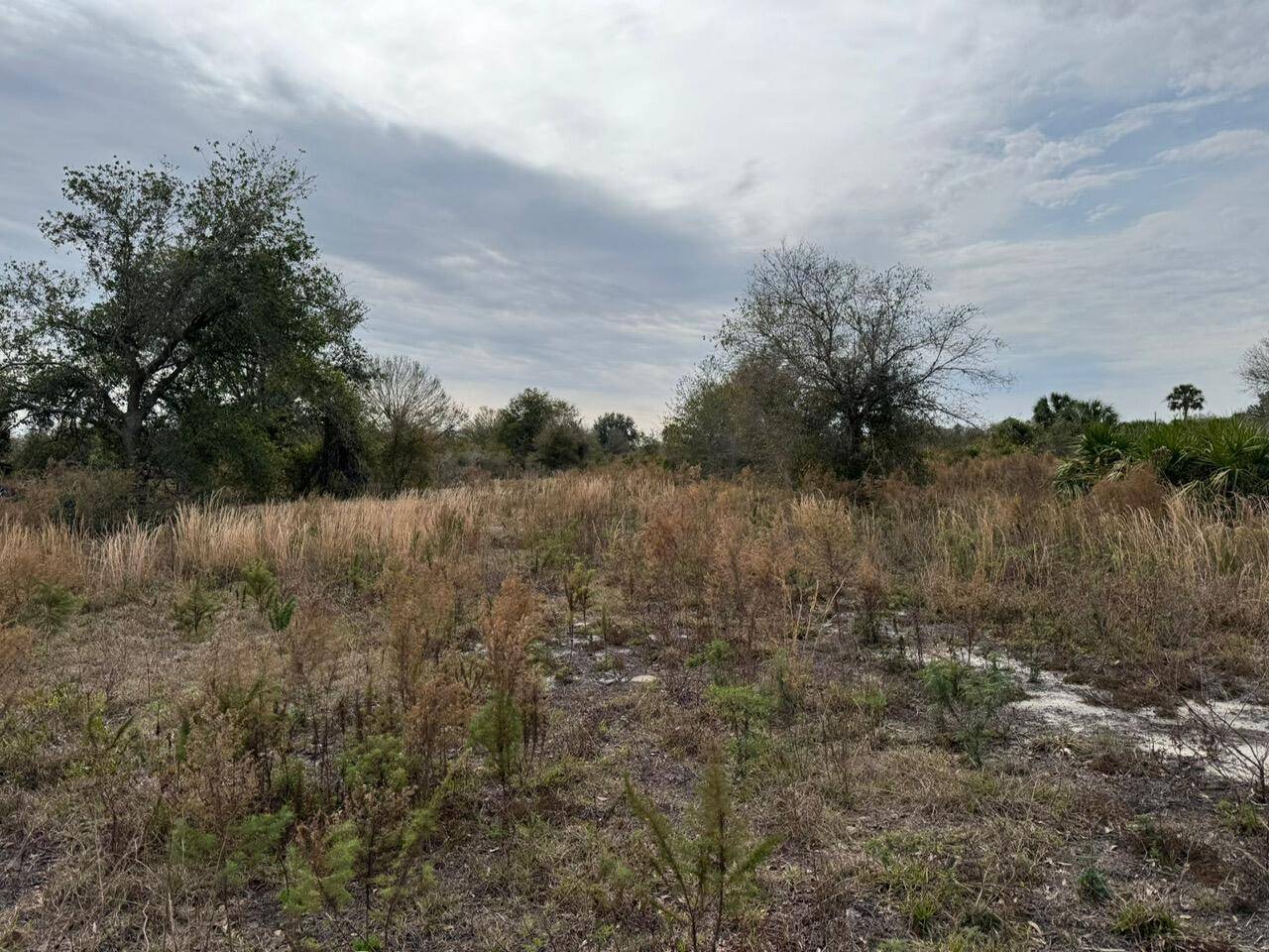 Incredible opportunity to own 1.