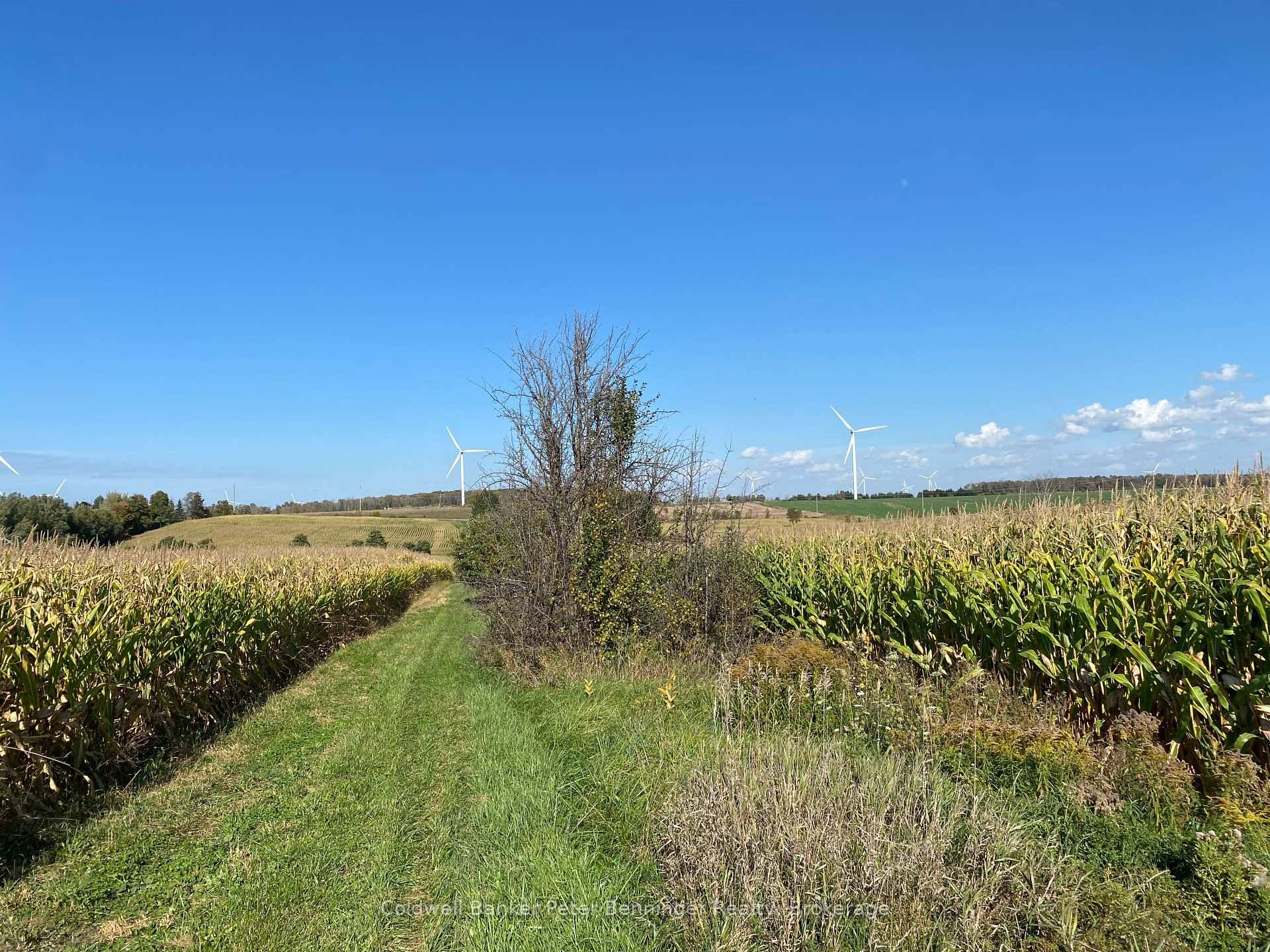 Approximately 94 agricultural acres for sale in Bruce County west of Highway 21, between Tiverton and Port Elgin that consists of approximately 65 acres cropland believed to be Elderslie Silty ...
