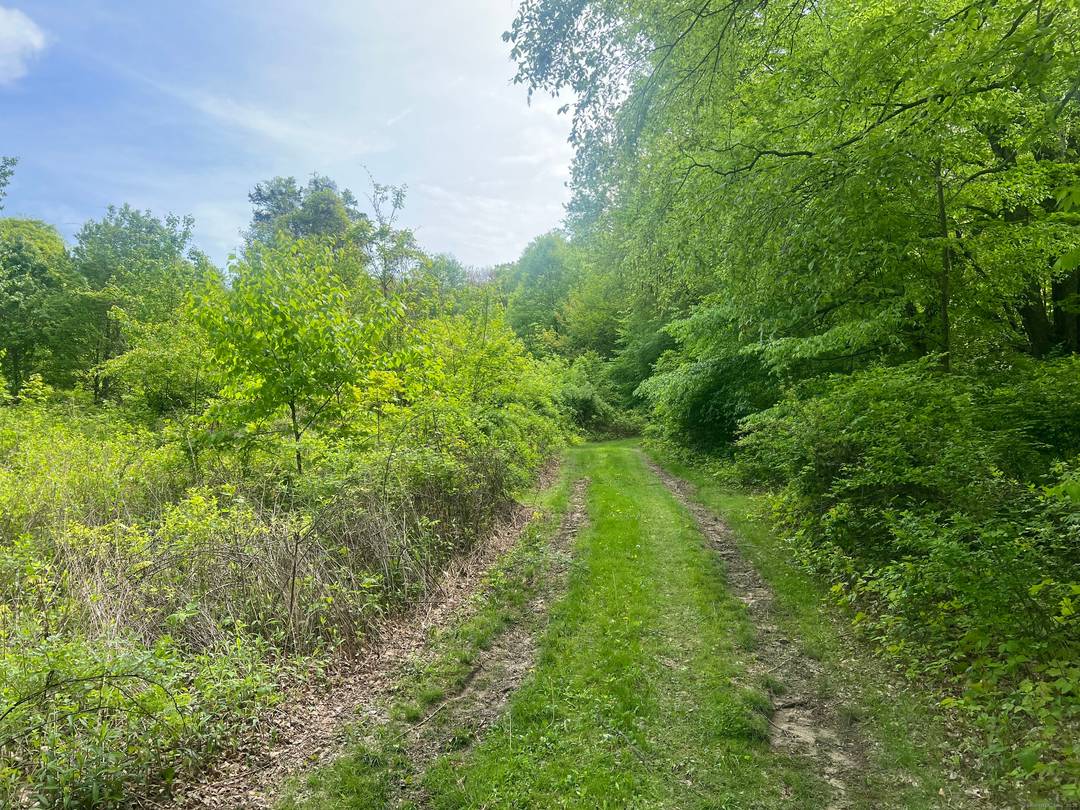 Tucked along one of Kent's most admired country roads, this rare 40 acre offering presents an exceptional opportunity to create a private retreat in one of Litchfield County's most prestigious ...