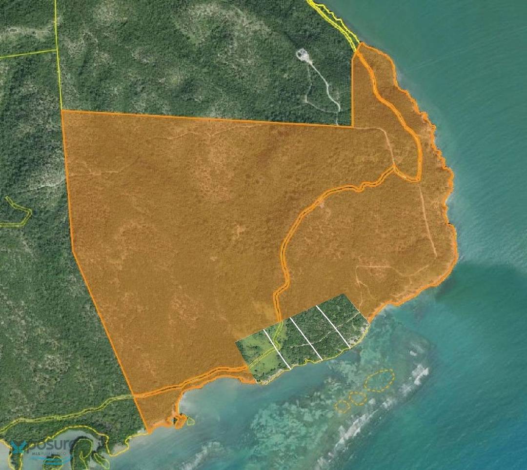 FINCA BO SEGUNDA DEL PASTILLO, GUÁNICA Land Guanica