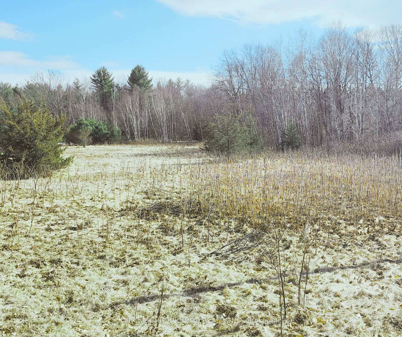 This flat one acre lot located on a paved municipal road is 10 minutes from Havelock and 15 minutes to Campbellford, and is the perfect spot to build a home.
