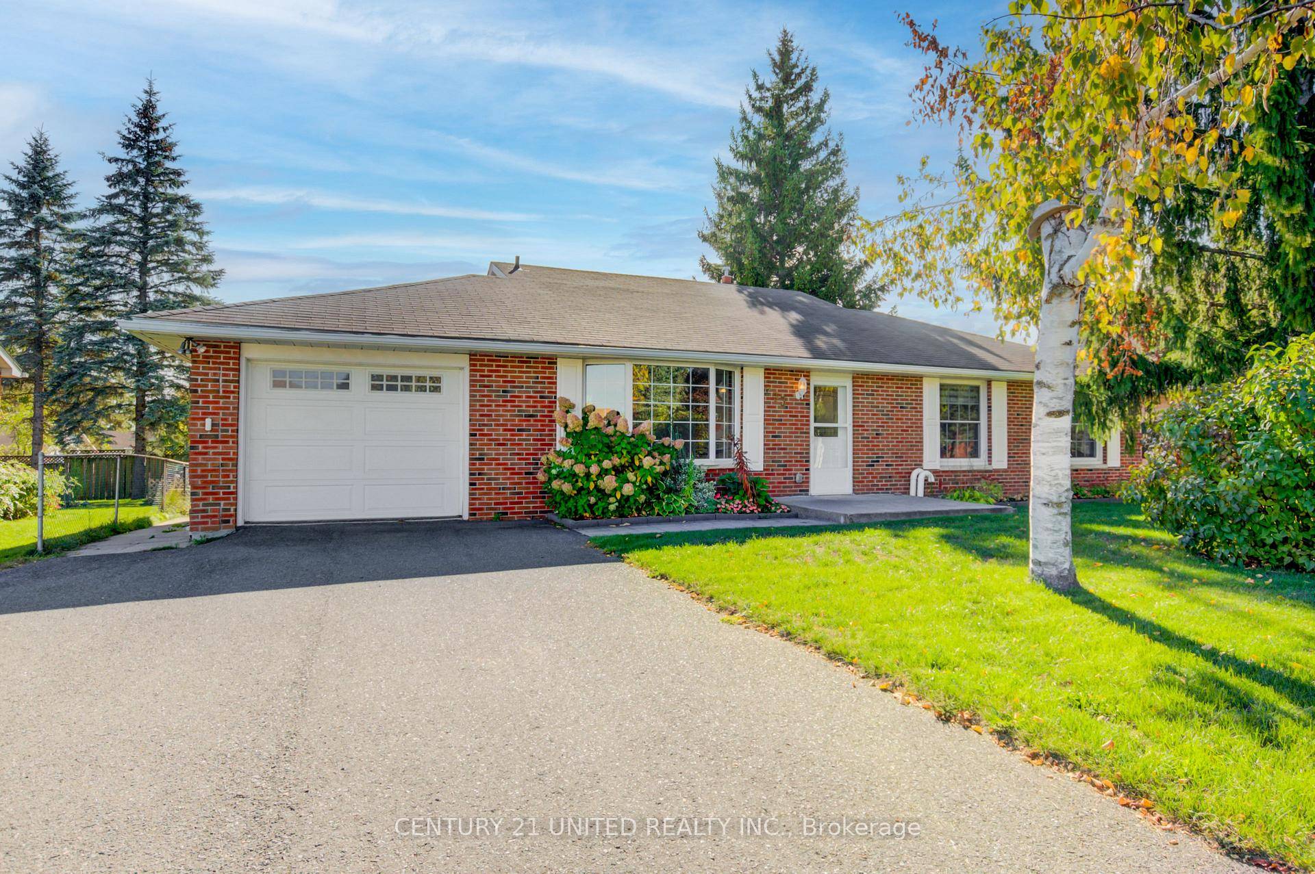 Meet Solaris. Yes, she has a name because some homes have presence.