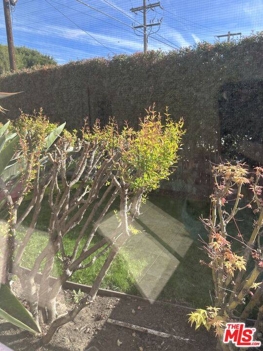 3013   Colorado Ave 2.0 Santa Monica LA