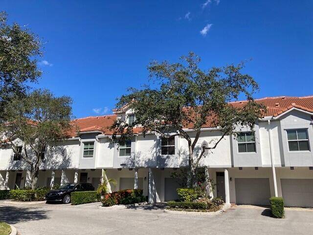 EASY TO SHOW ! RARELY AVAILABLE !