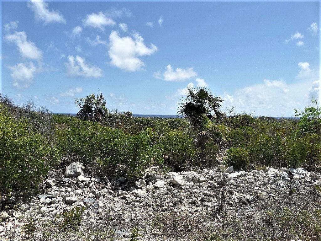 VIEWS IN MORRISVILLE Land Long-Island-Bahamas
