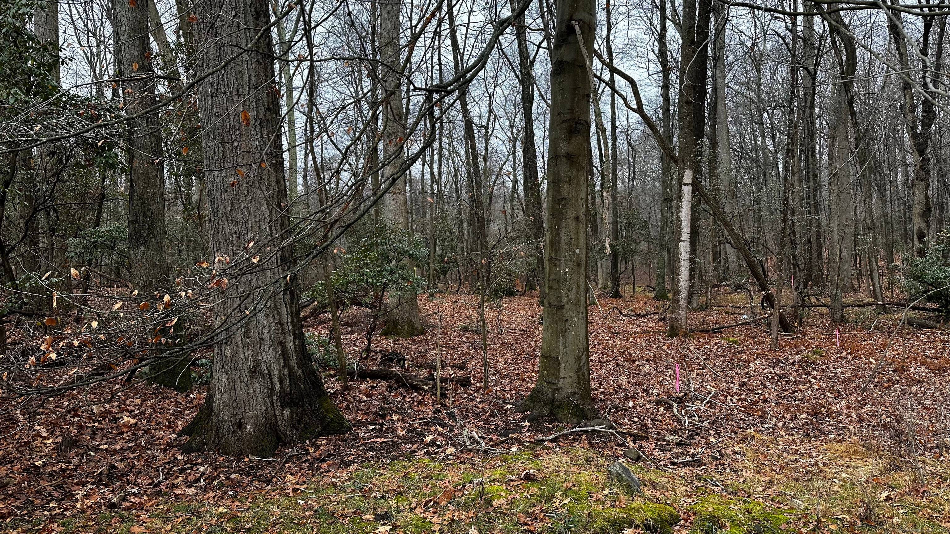 Lot 53 is located at the end of Lee Lane, a private side street off Michigan Road.