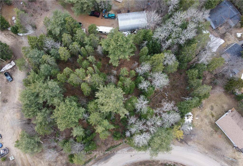 Excellent opportunity to own just over half an acre in the village of Emsdale.