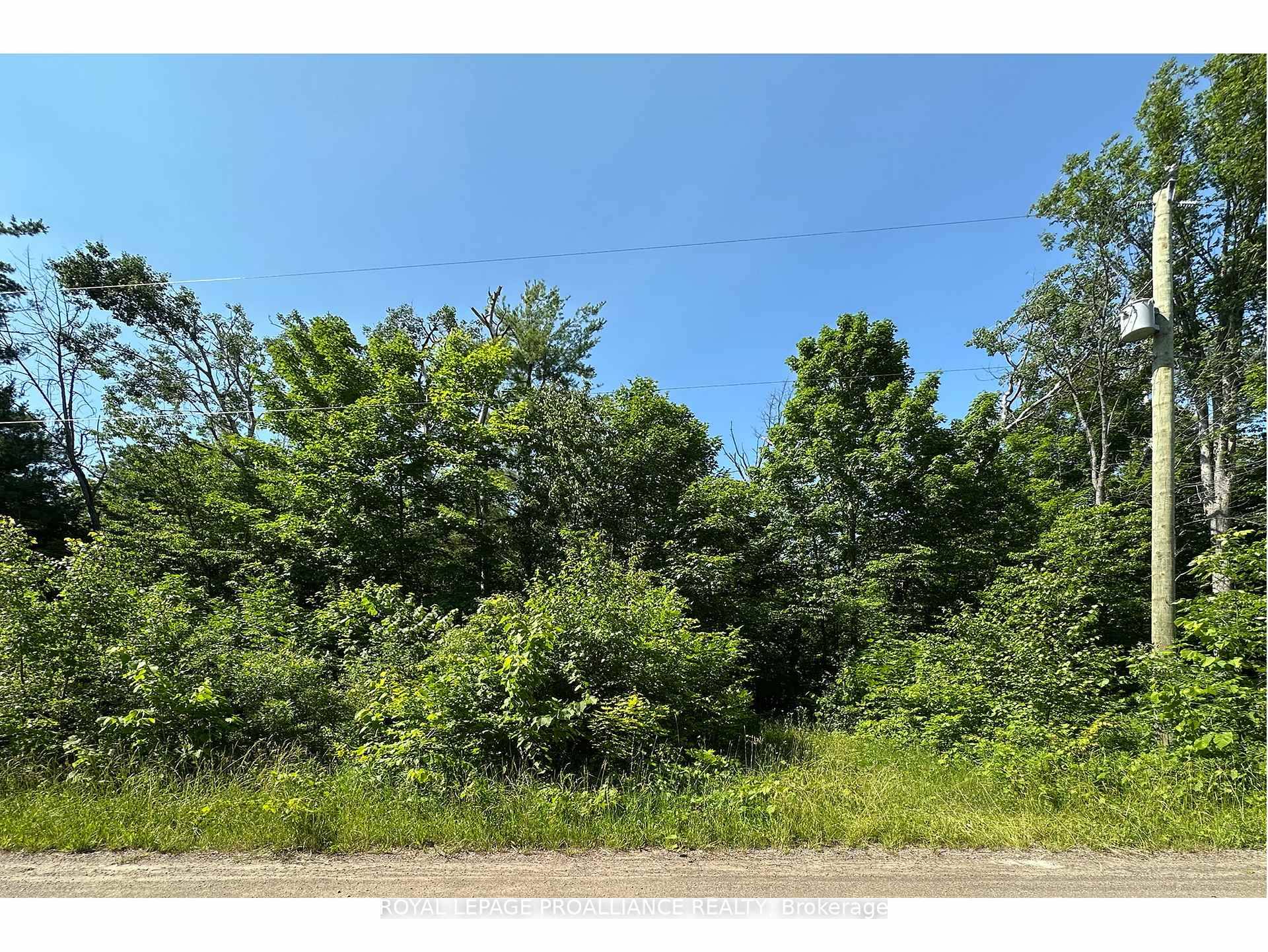Build your dream home on this 1 2 acre level building lot.