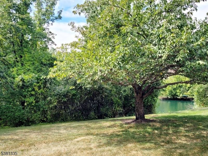 Spacious 300 model, largest 2 bedroom townhome with great, private backyard.