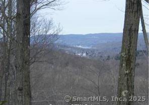 Over 57 Acres of land with distant views of the CT River from various points.