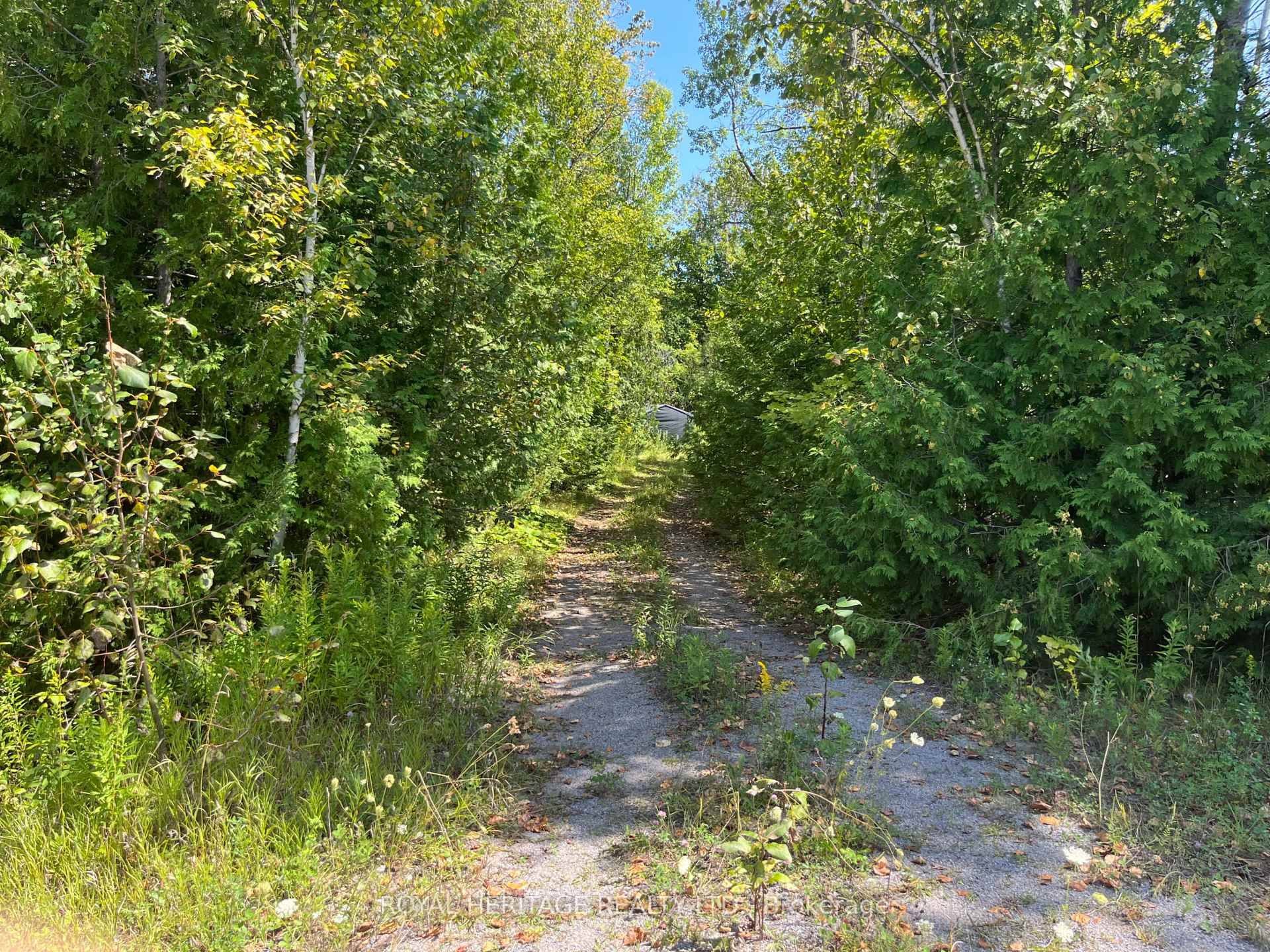 Build your dream home nestled in the woods.