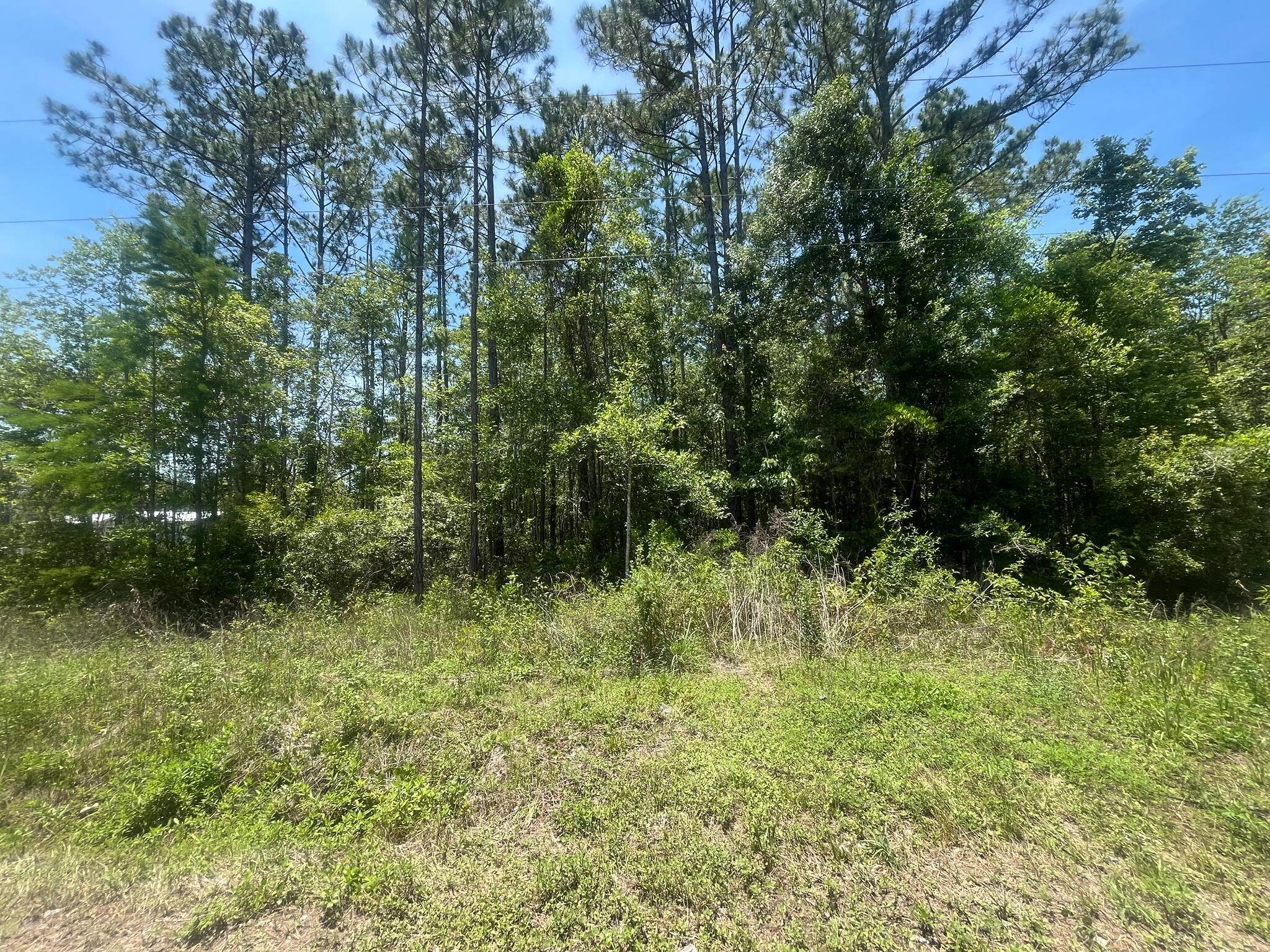 FINANCING AVAILABLE ! Experience country living in Flagler Estates.