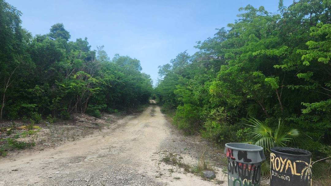 LOT 8287 HARTSWELL Land Exuma-And-Exuma-Cays