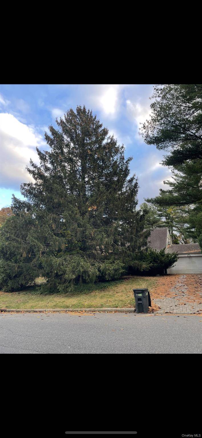 Discover the potential in this charming 4 bedroom, 2 bath Cape Cod style home located in the heart of Stony Brook.