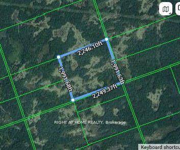 100 Acres of Untouched Wilderness for Adventure Seekers, Hunters, and Nature Enthusiasts !
