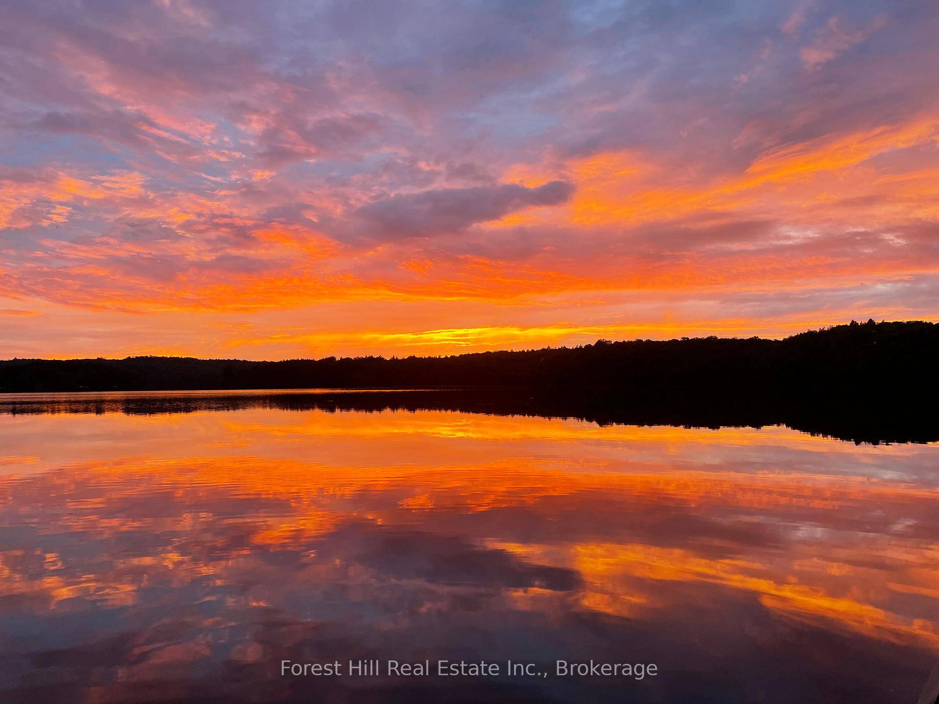 Beautiful sunset views of crown land, spectacular waterfront sand shore and deep water on quiet, pristine Fletcher Lake near Dorset.