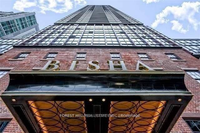 Fully Furnished 1 Bed Study In Sought After Bisha.