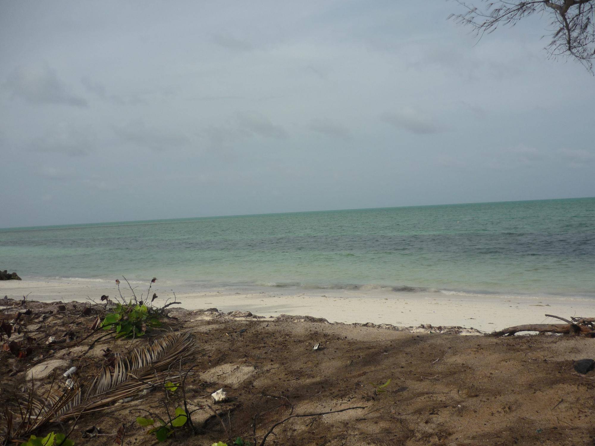 1.020 ACRES MANGROVE CAY Land Andros