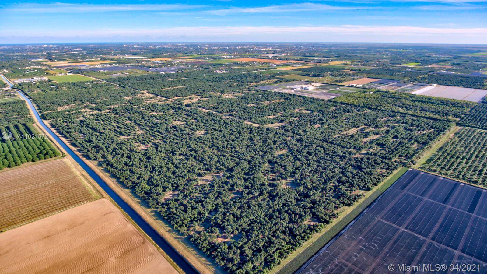 330 acres of producing avocado groves for sale.