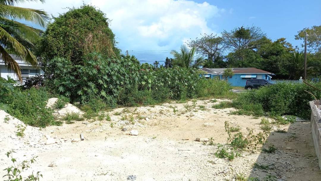 198 FOXDALE Land New-Providence