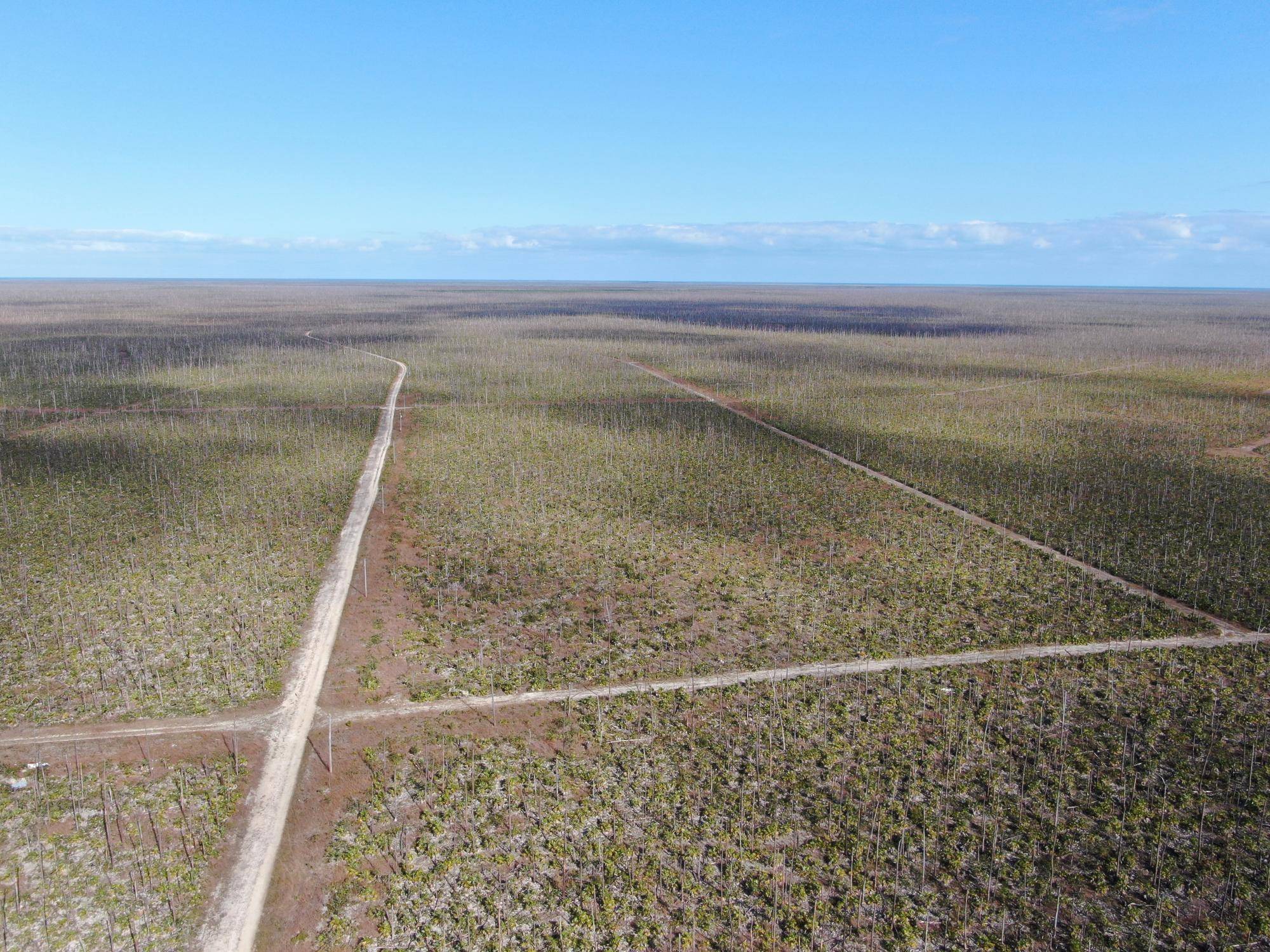 LUCAYA ESTATES Land Grand-Bahama-Freeport