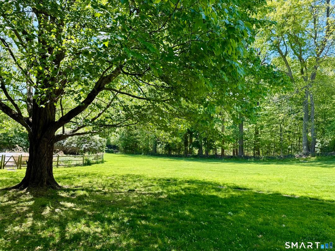 Come walk this stunning 1.