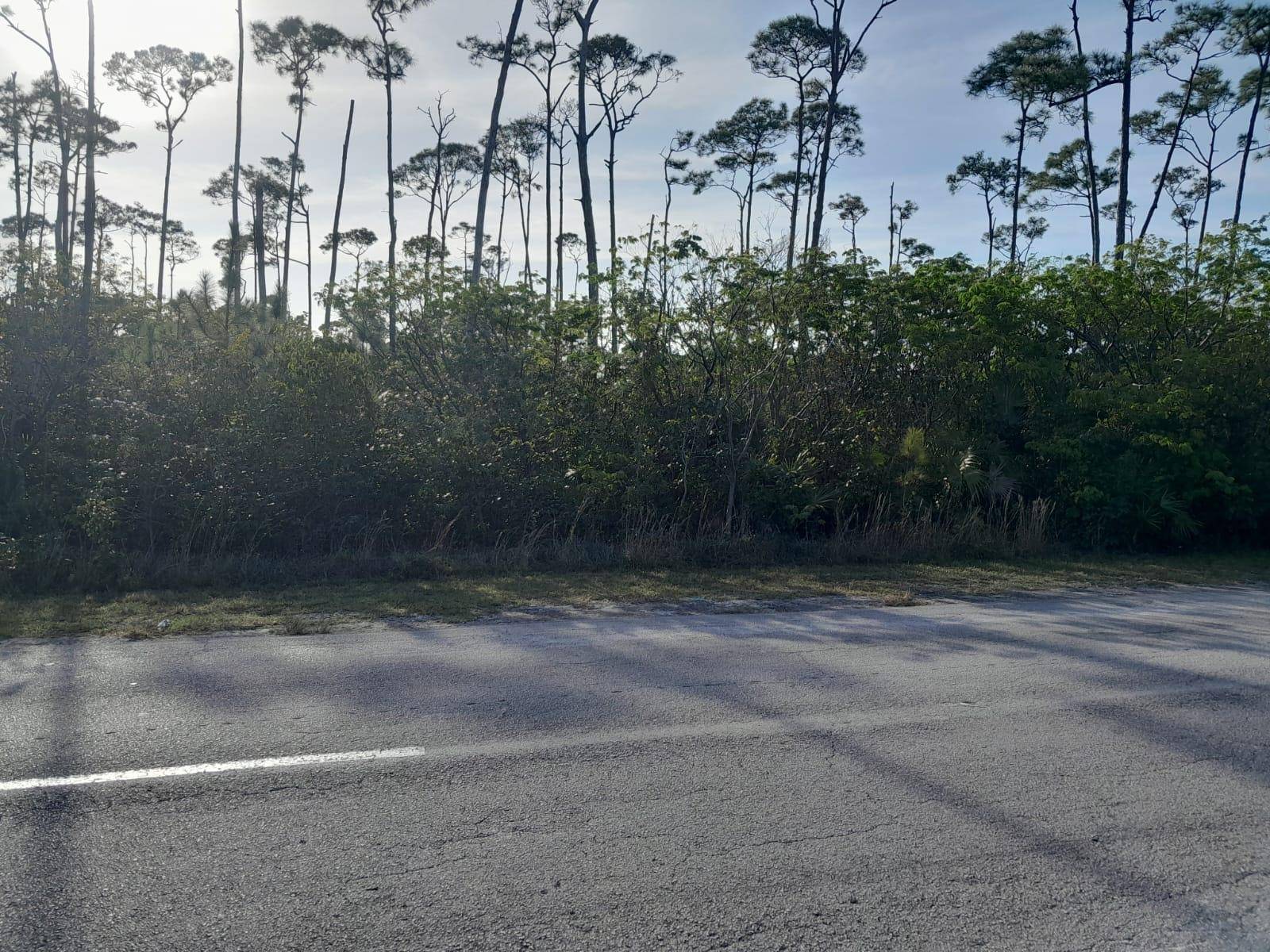 CHURCHILL DRIVE Land Grand-Bahama-Freeport